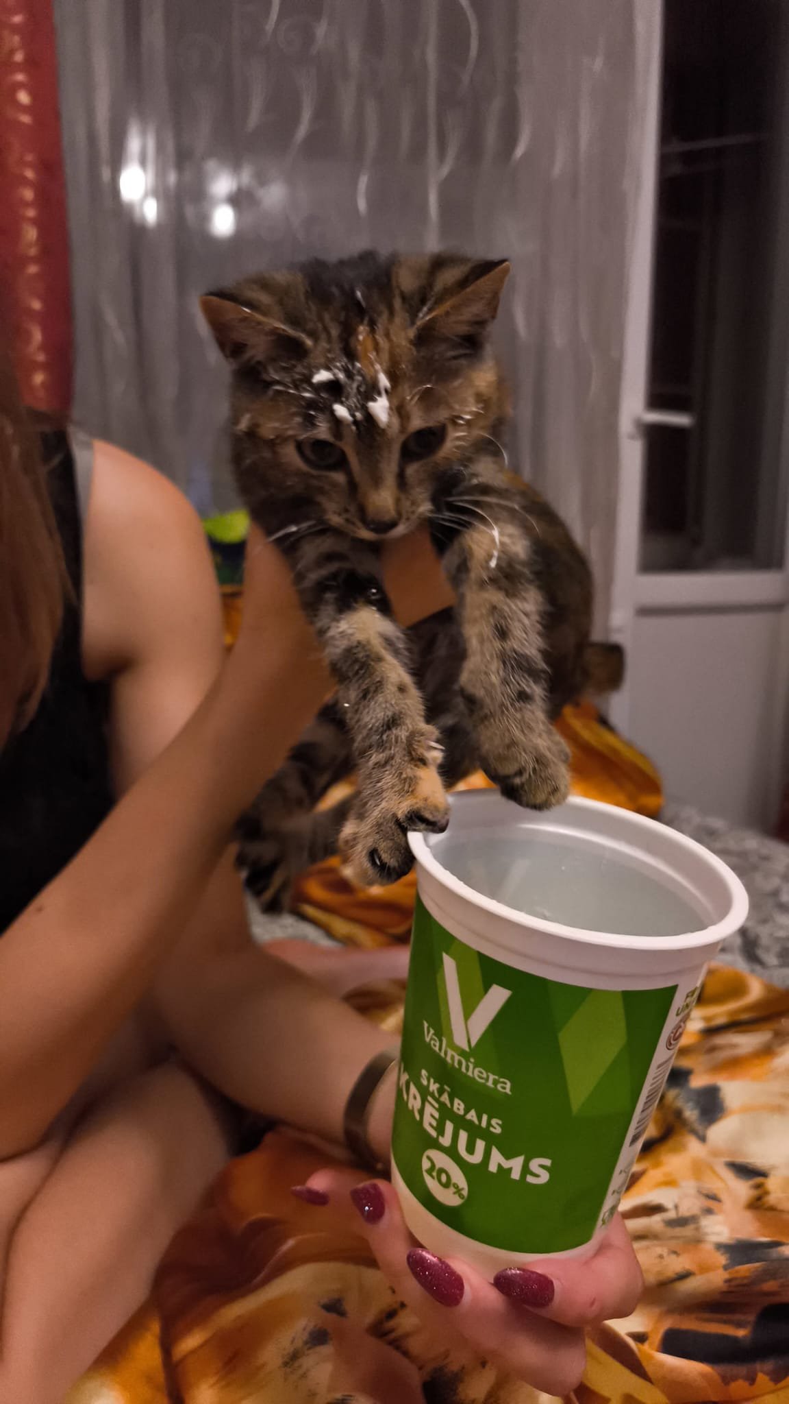 Kaķītis ar baltu pārsteigumu